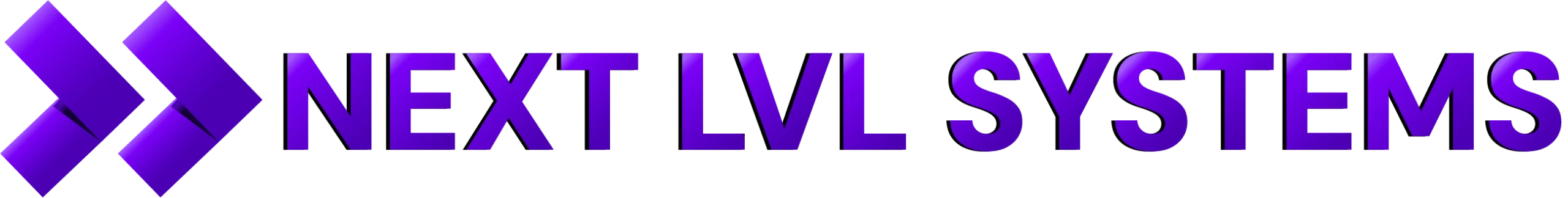 main logo 2026 next lvl systems